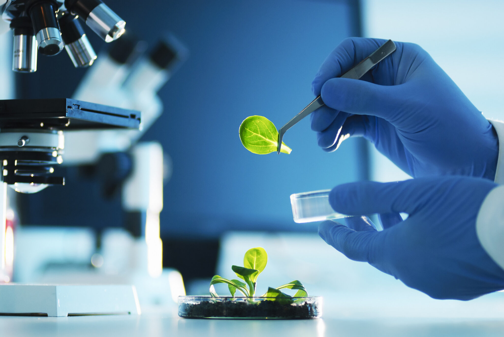 Can biotech help turn UK PLC green? – UKRI