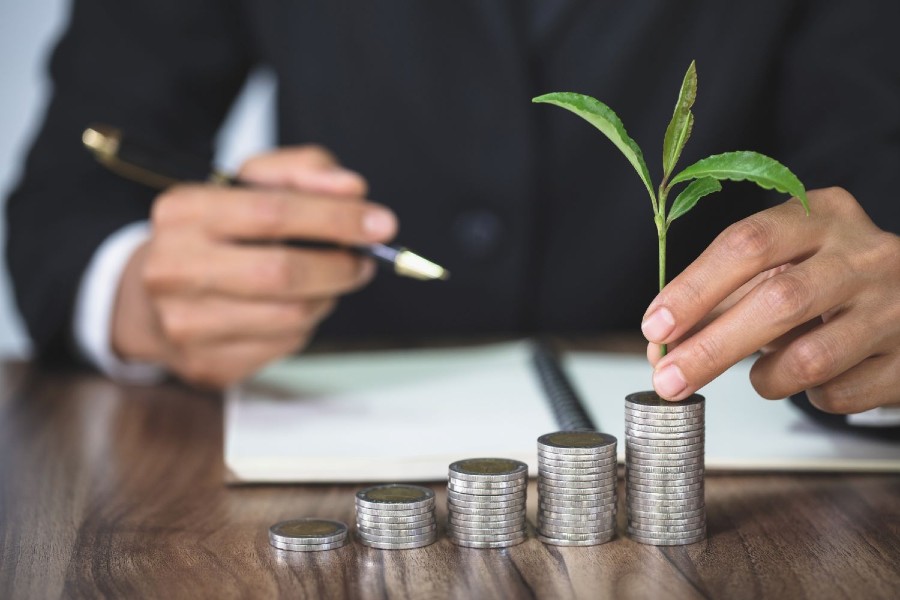 Hand with tree growing from pile of coins