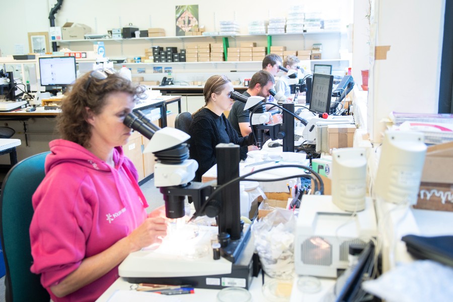 RIS employees working in the lab and viewing samples through microscopes