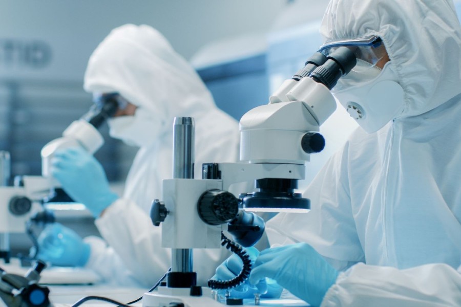 Technicians in Sterile cleanroom suits using microscopes