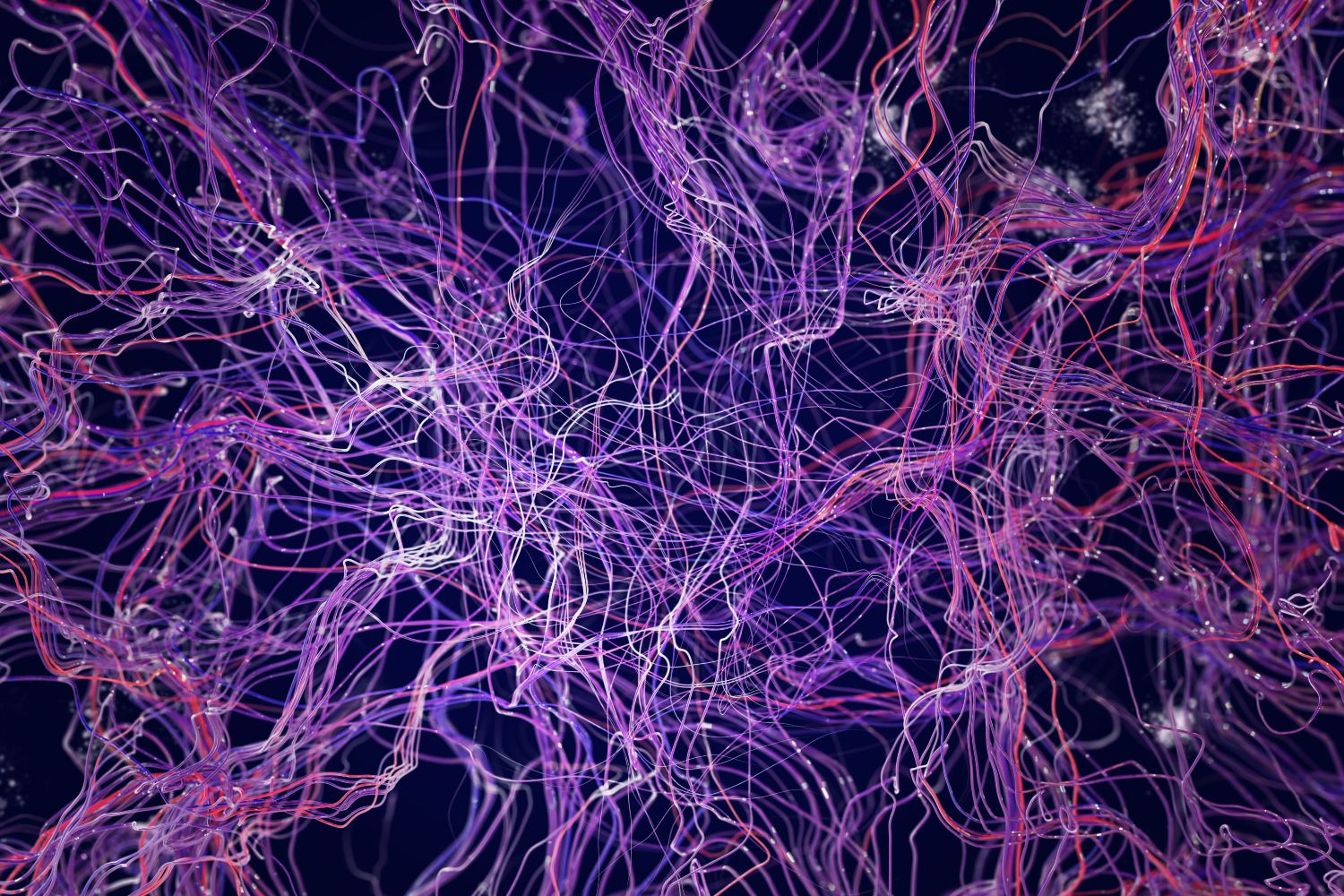 Neurons In The Brain