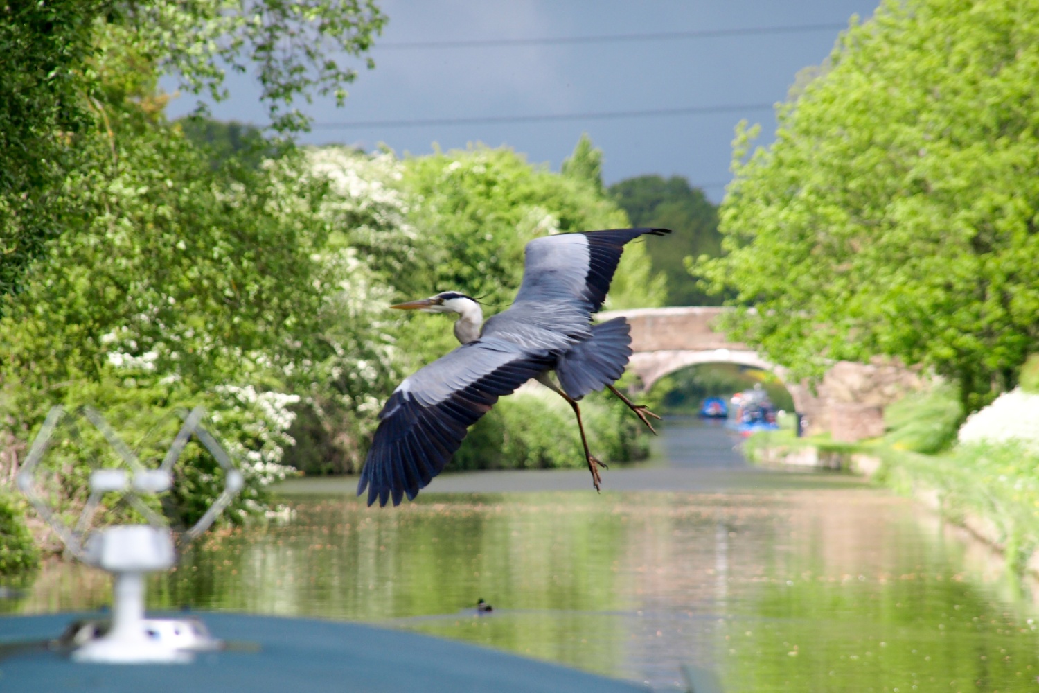 Funding to improve biodiversity observation capabilities in UK waters