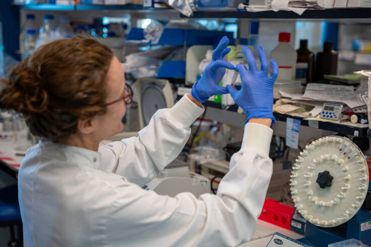 Dr Francesca Tonelli performing immunoprecipitation in the MRC Protein Phosphorylation and Ubiquitylation (PPU), Alessi Lab.