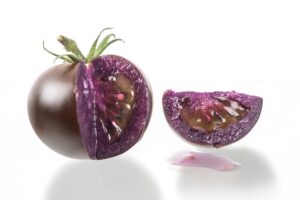 Purple tomato fruit genetically engineered to produce anthocyanins. Credit: John Innes Centre