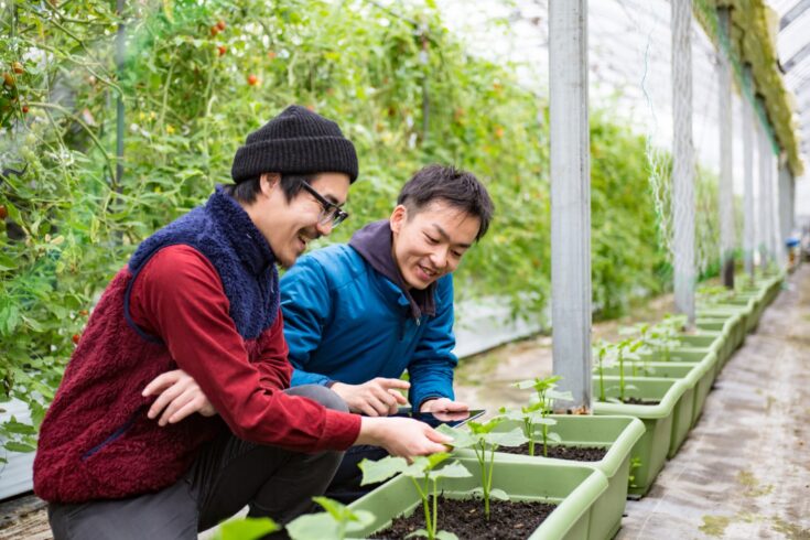 Two male researchers checking plants and recording observations on a tablet.