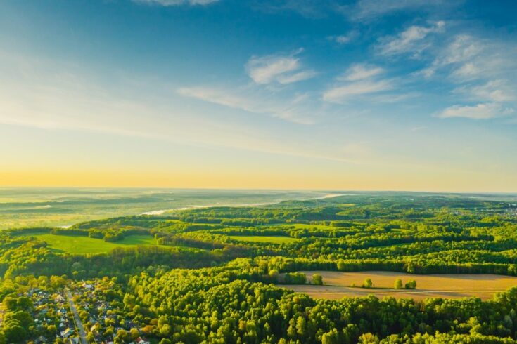 A drone shot taken of a morning summer sky with an aerial view of a green forest.