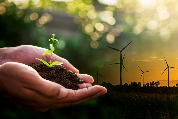 Hand of someone holding sapling growing from the soil with silhouette of wind turbine farm background. Energy clean electricity renewable energy, environmental protection concept.