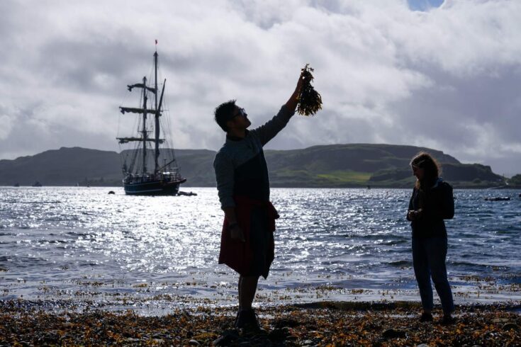 Seaweed gathering in Oban: community-led event gathering beach cast seaweed for fertiliser